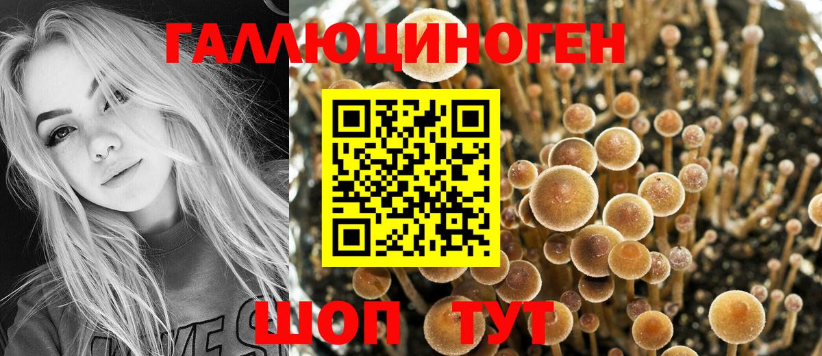 Псилоцибиновые грибы мицелий Ступино
