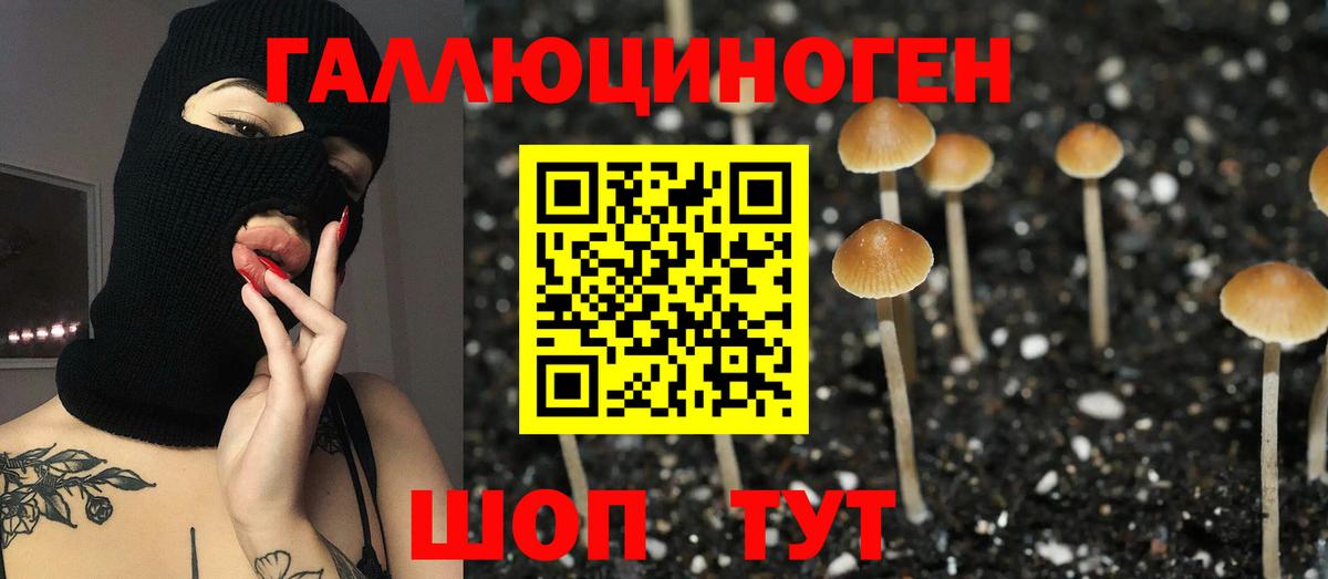 Галлюциногенные грибы Psilocybine cubensis  Вход с VPN  Ступино 
