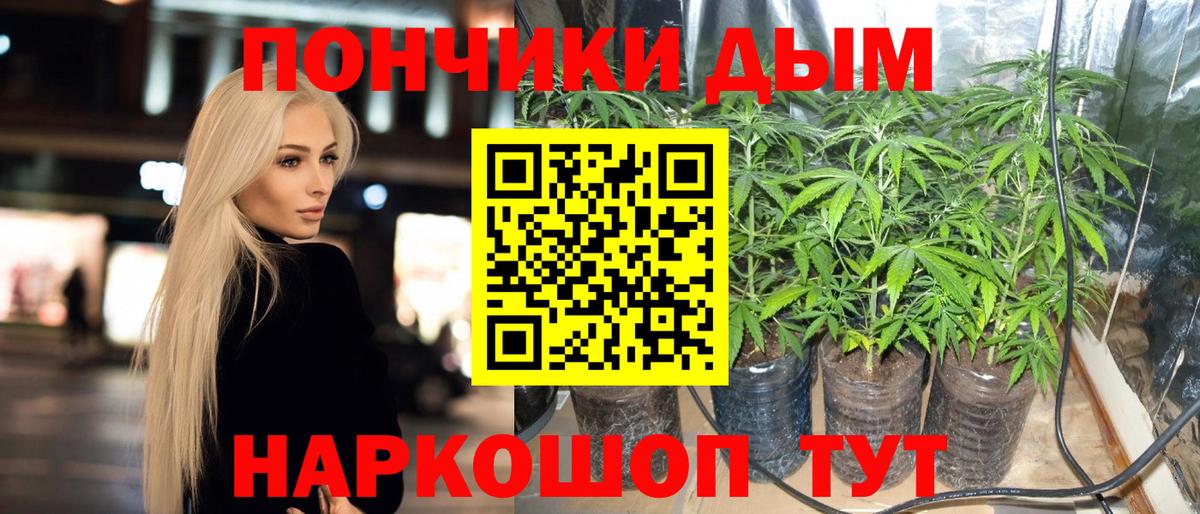 Шишки марихуана сатива  Вход с VPN  Ступино  Конопля SATIVA & INDICA  Бошки марихуана SATIVA & INDICA 
